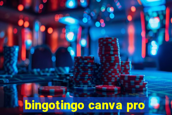 bingotingo canva pro